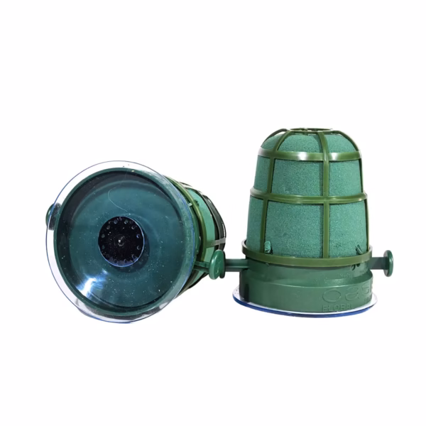 Пиафлора Oasis Auto-Corso Mini , 10см х 7см х 8см, Зелен