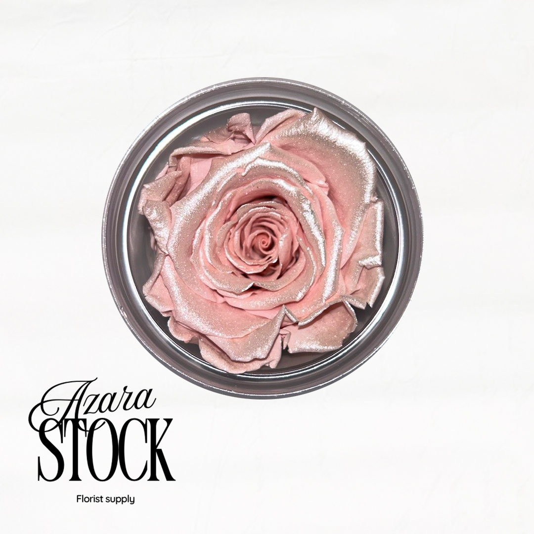 Вечна роза светло розово сребро