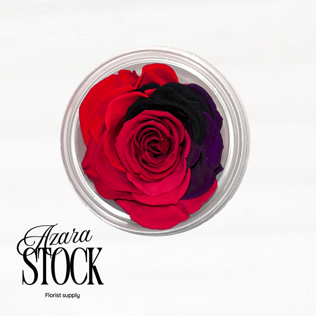 Вечна роза червено, черно и лилаво