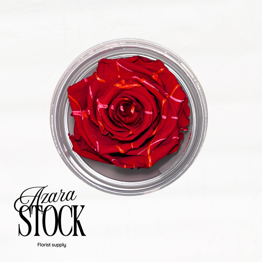 Вечна роза червено с пръски