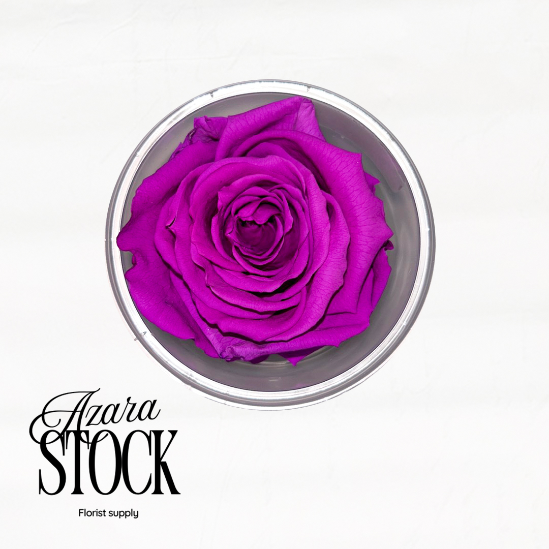 Вечна роза лилаво неон