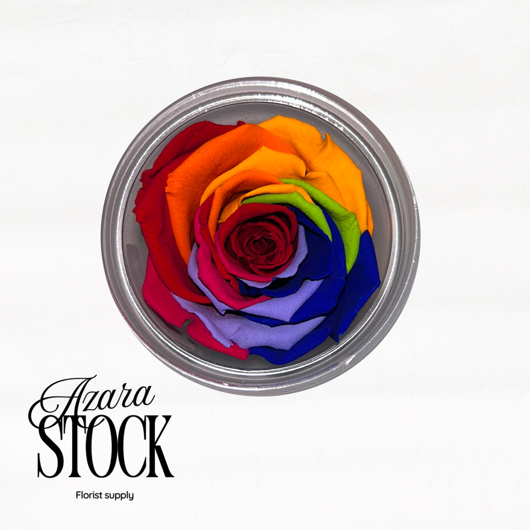 Вечна роза дъга