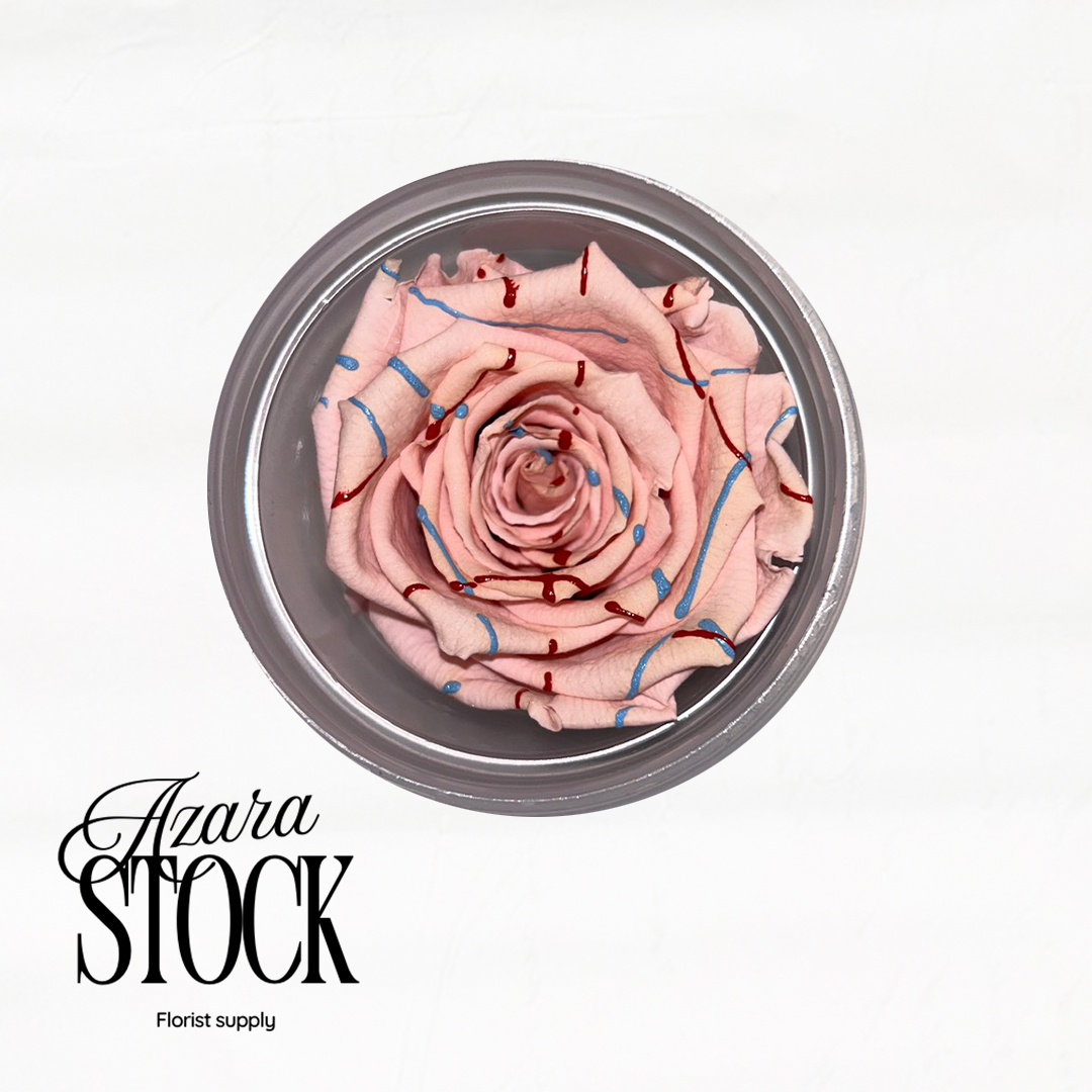 Вечна роза светло розово с пръски