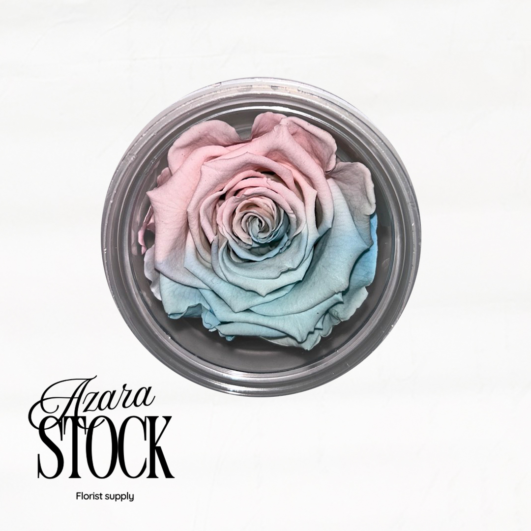 Вечна роза светло розово и синьо