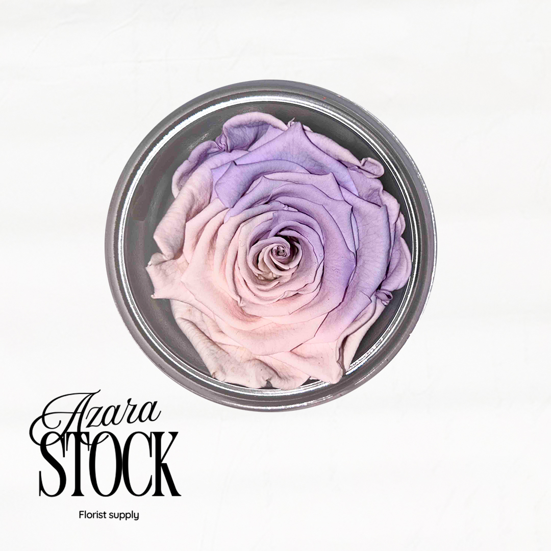 Вечна роза светло розово и лилаво