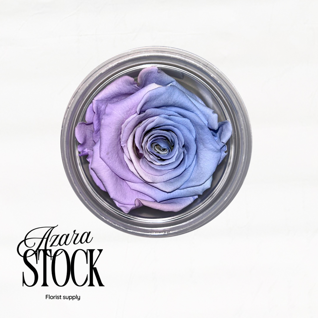 Вечна роза светло синьо и лилаво