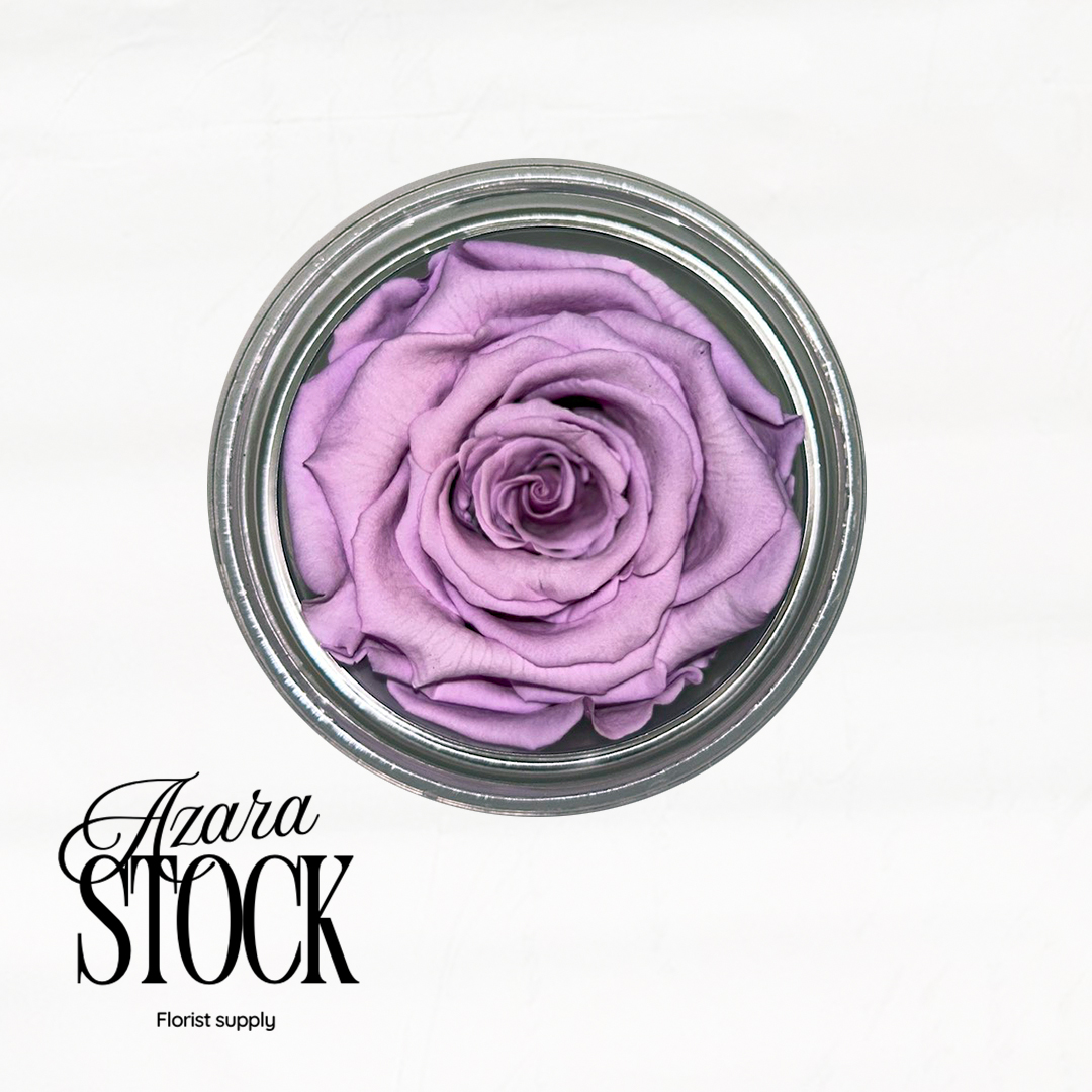 Вечна роза светло лилаво