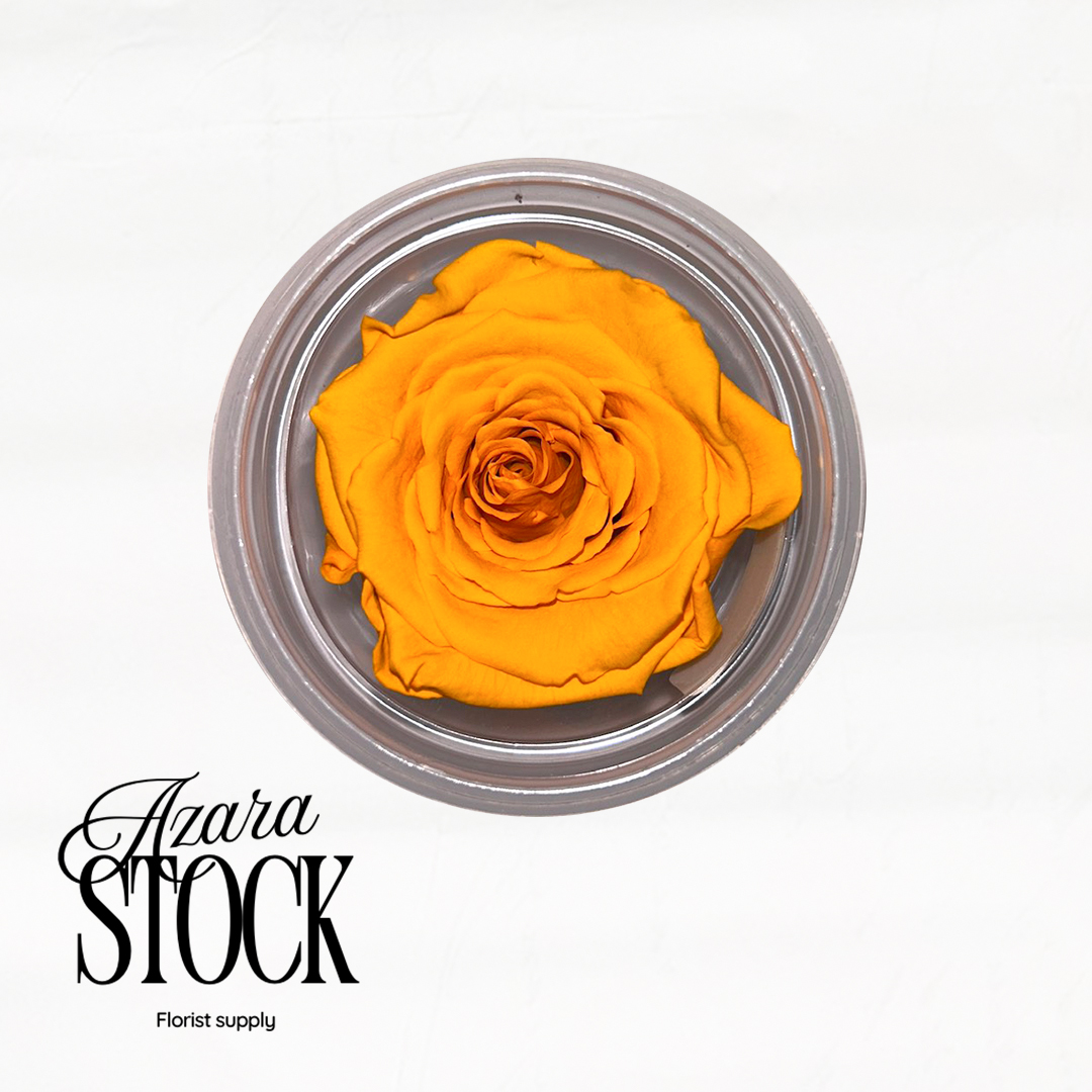 Вечна роза светло оранжево