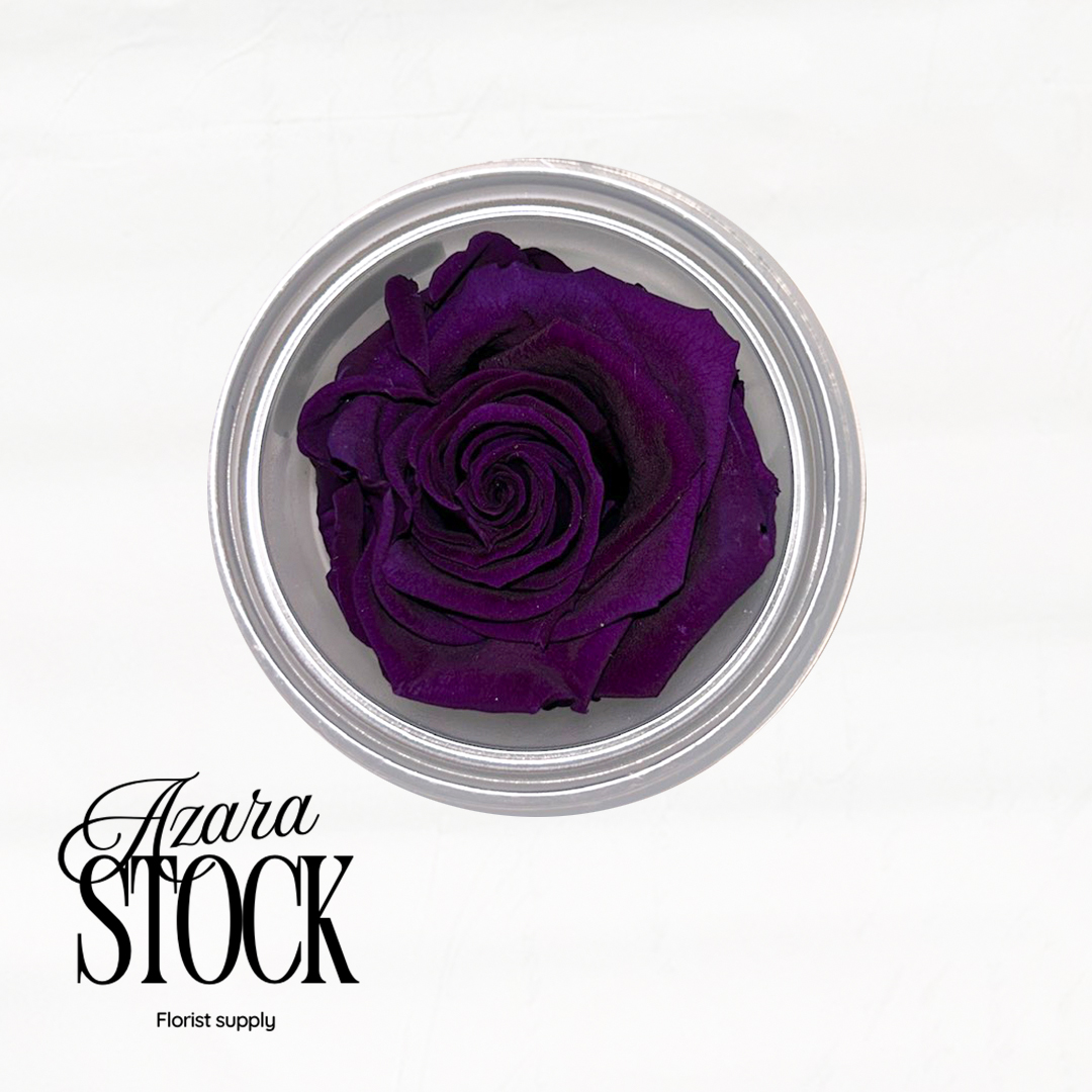 Вечна роза тъмно лилаво