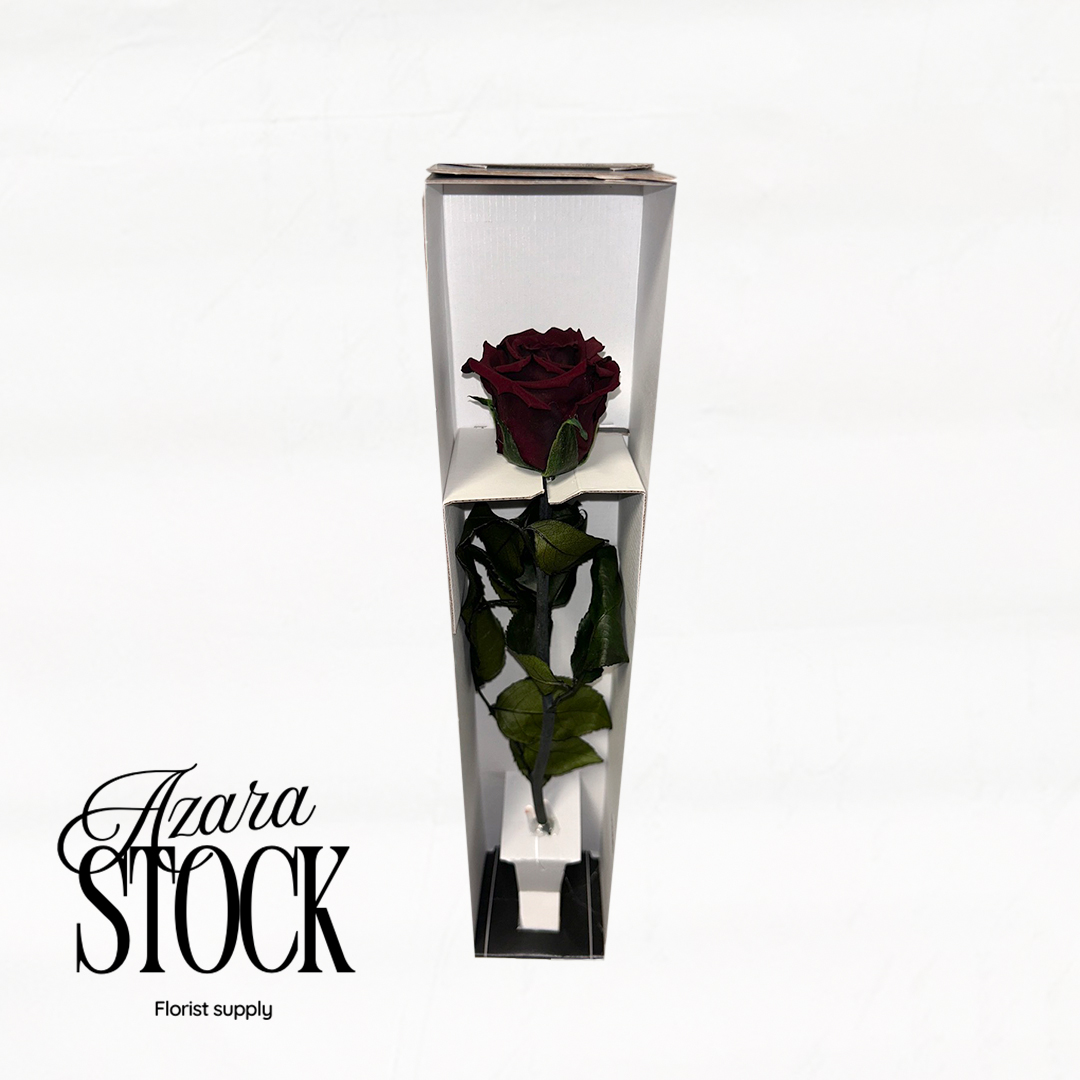 Вечна роза бордо с дръжка