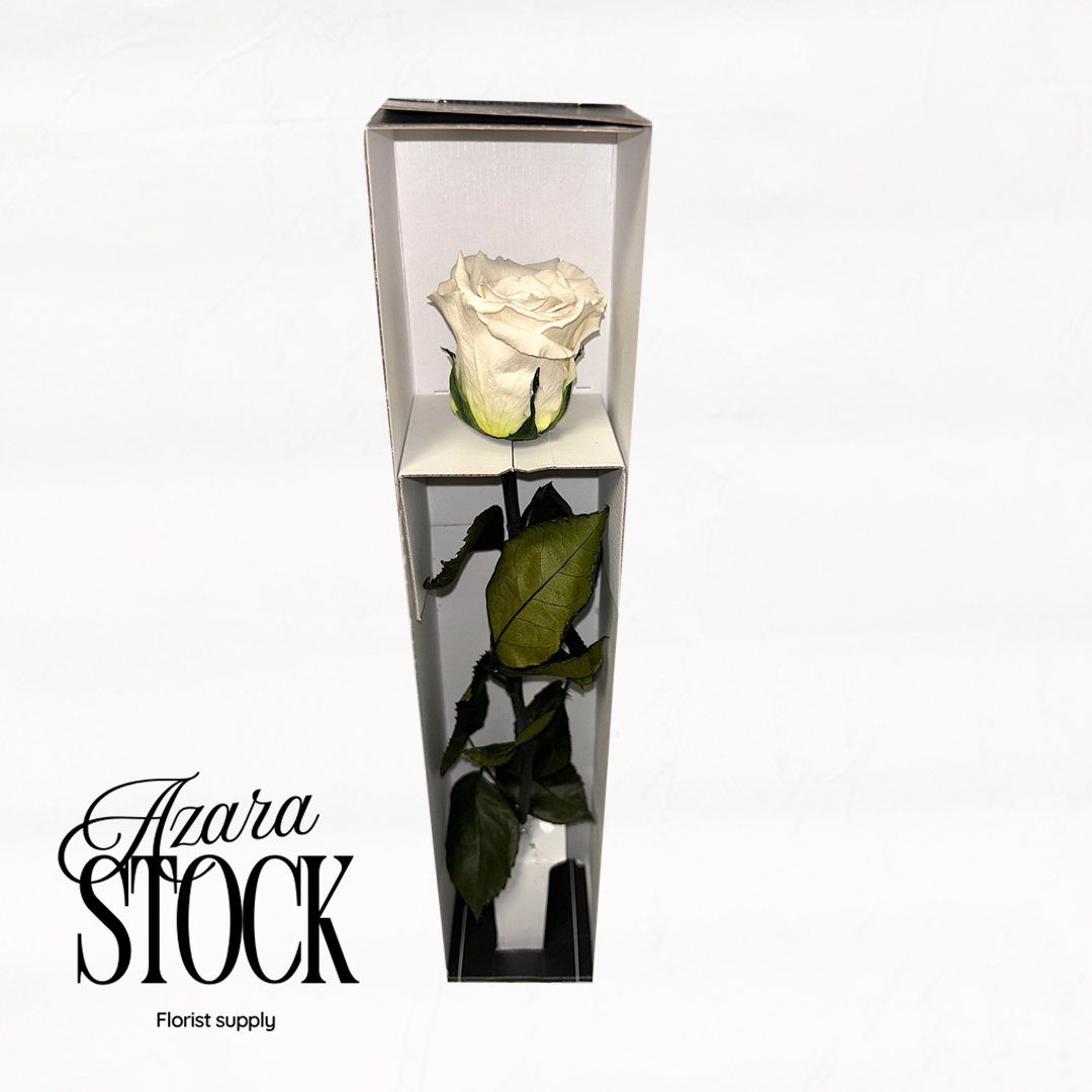 Вечна роза бяло с дръжка