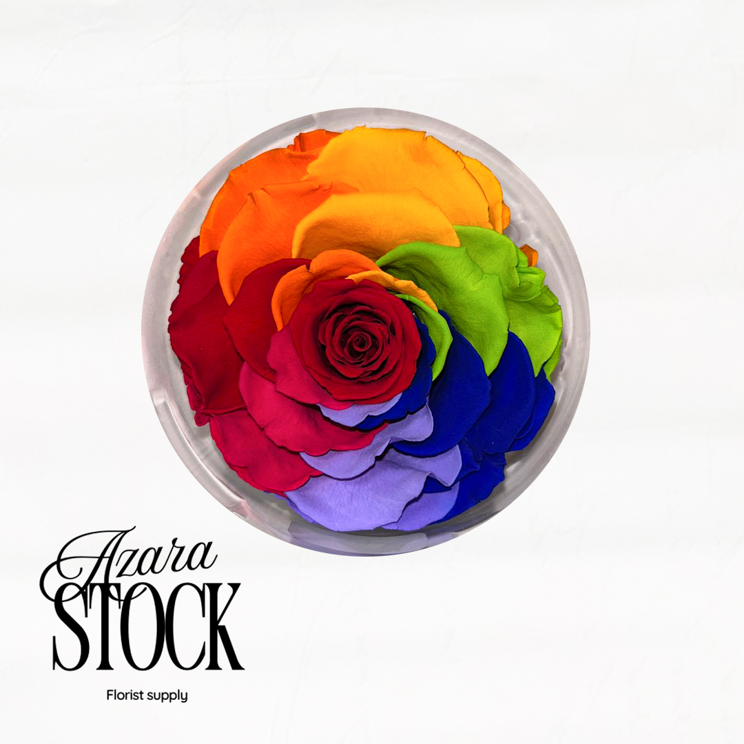 Вечна роза дъга макси