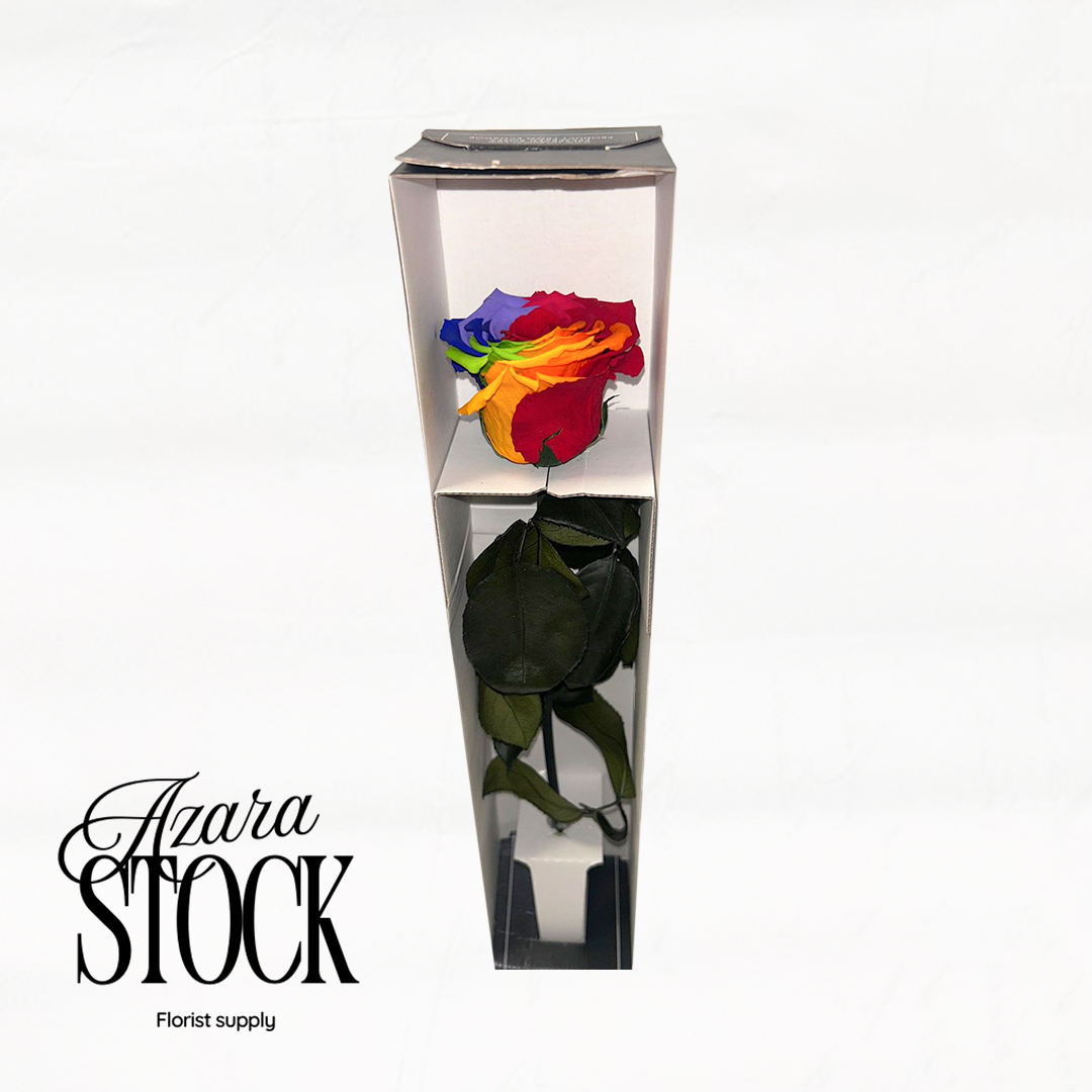 Вечна роза дъга с дръжка