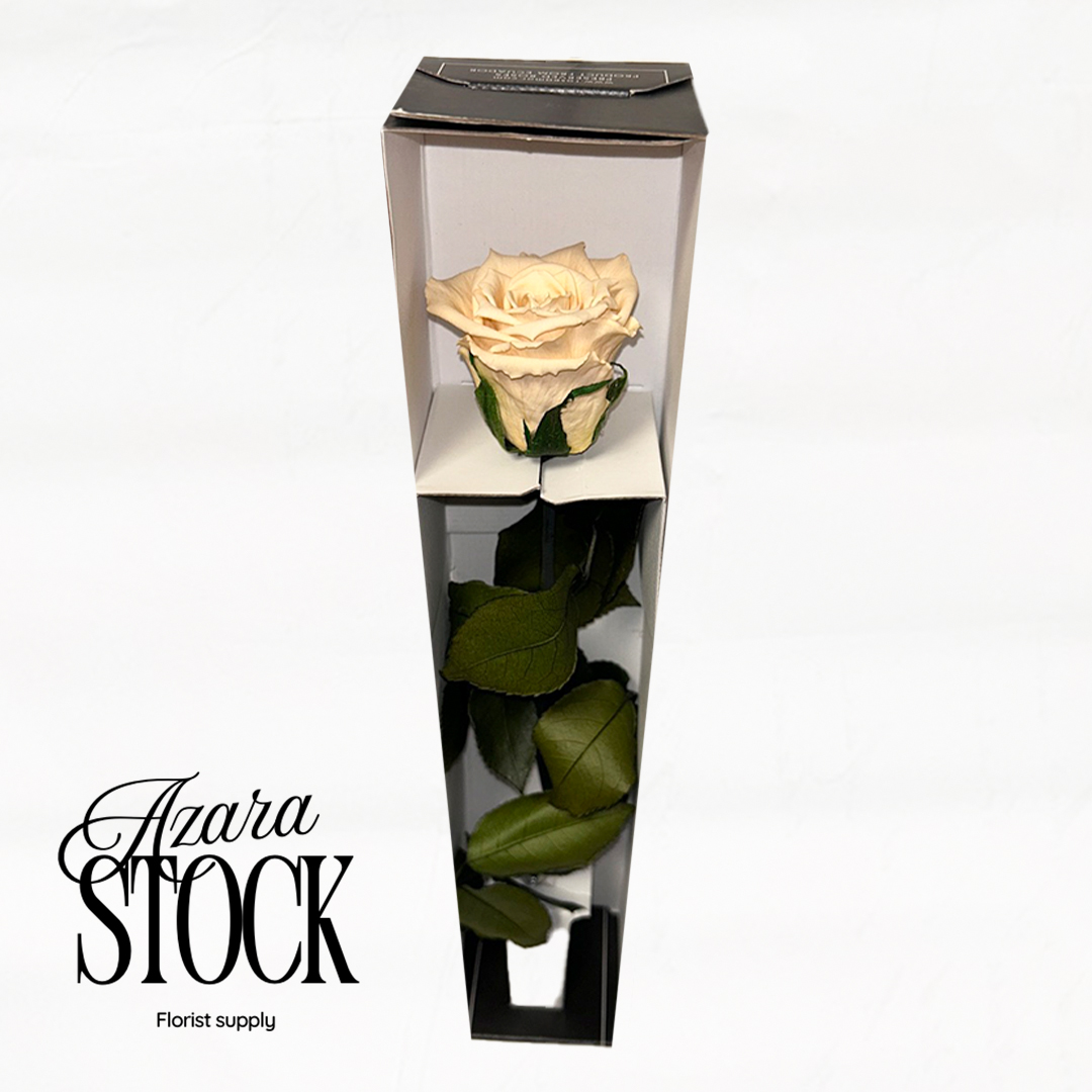 Вечна роза екрю с дръжка