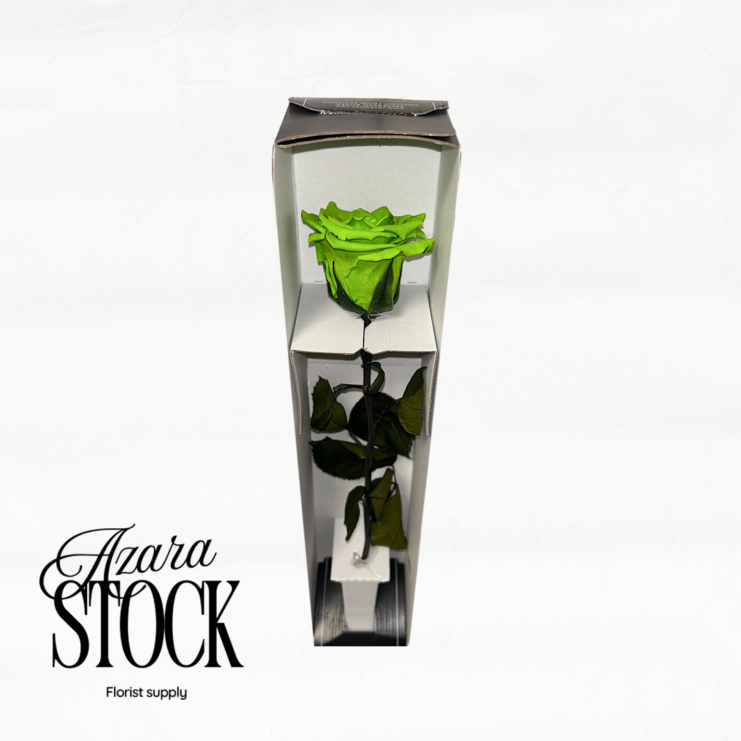 Вечна роза зелено с дръжка