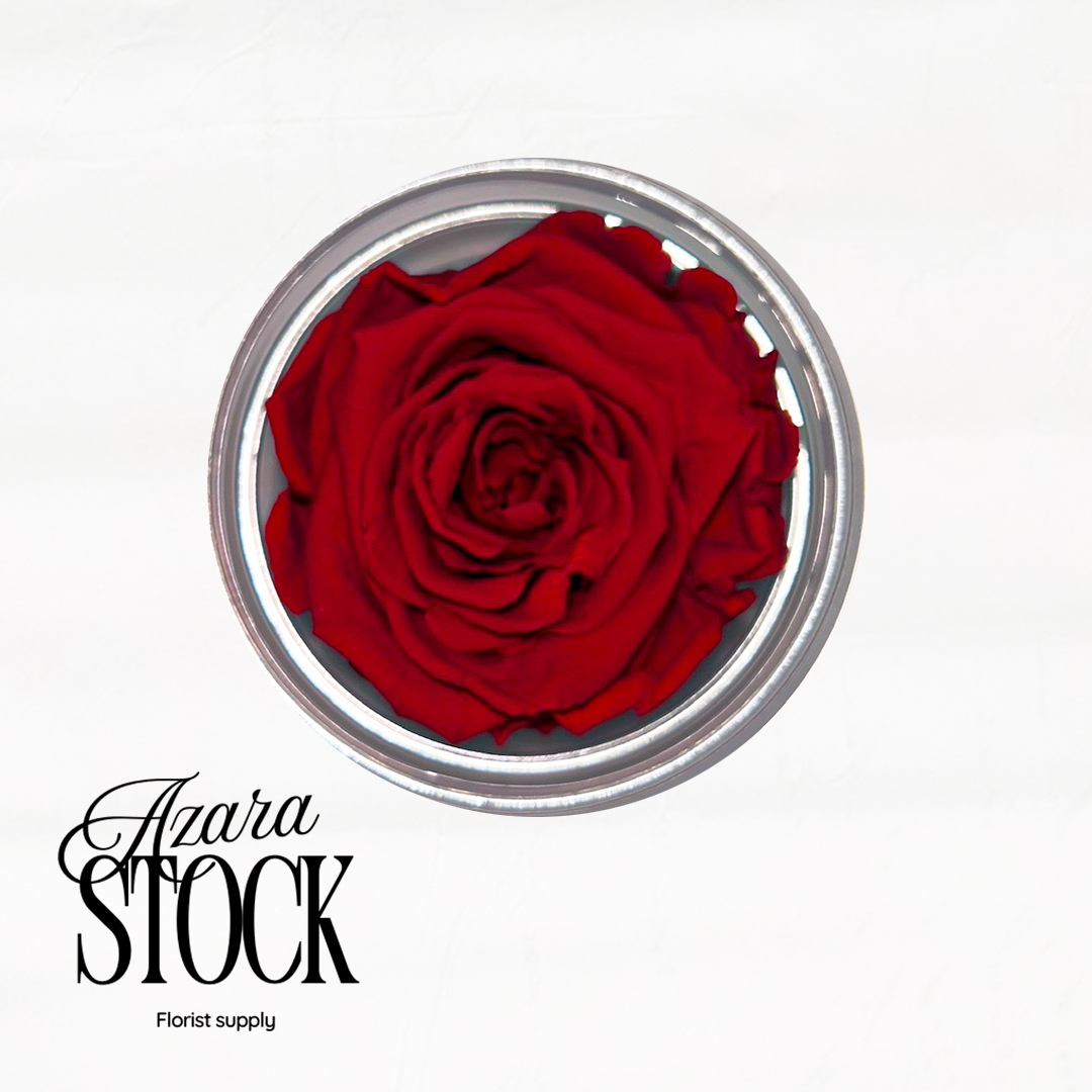 Вечна роза класическо червено