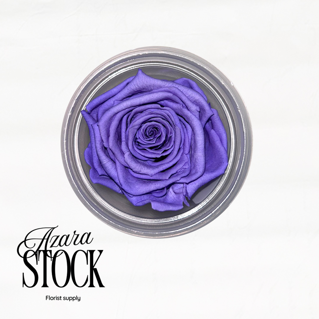 Вечна роза лилаво