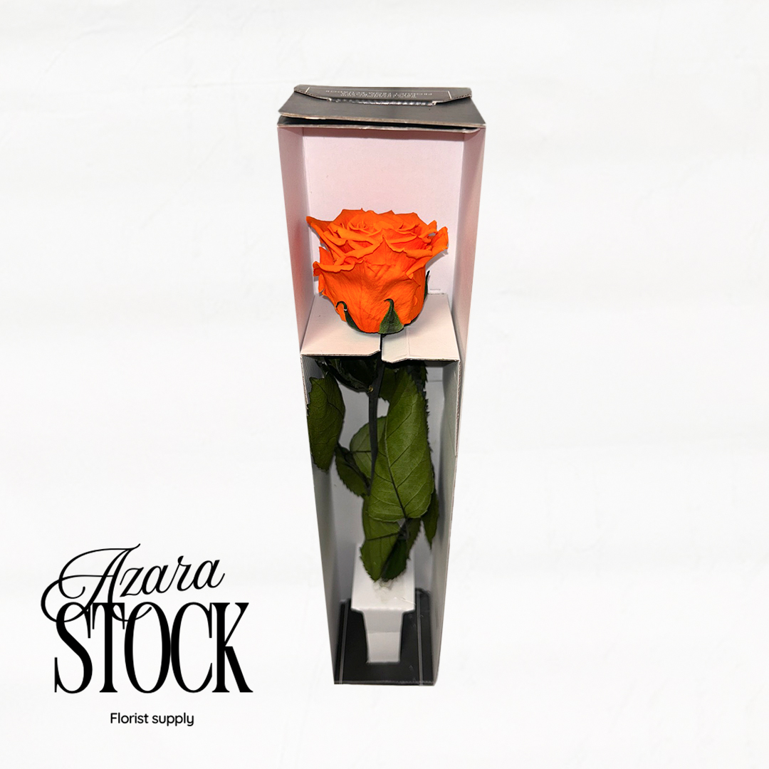 Вечна роза оранжево с дръжка