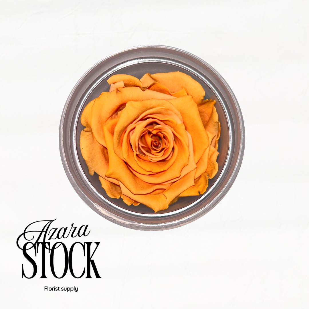 Вечна роза светло оранжево