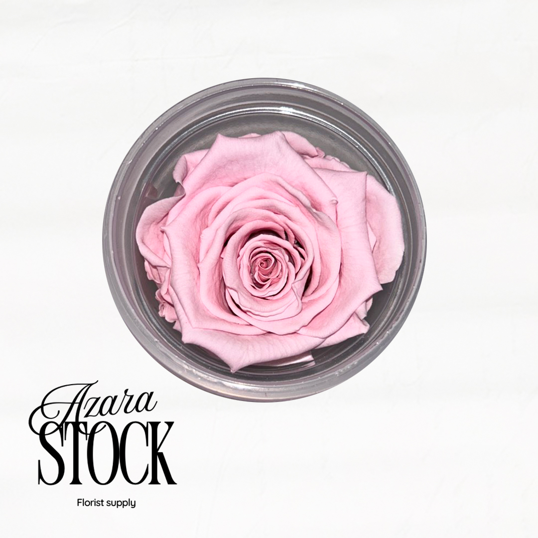 Вечна роза светло розово