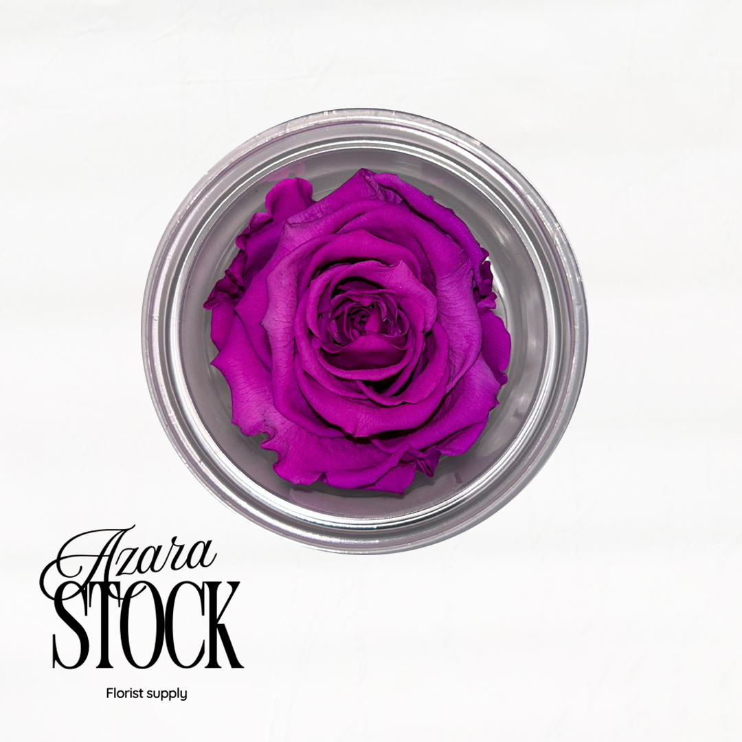 Вечна роза светло лилав неон