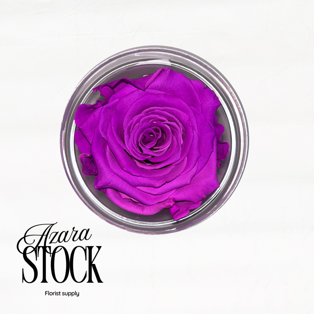 Вечна роза светло лилаво неон