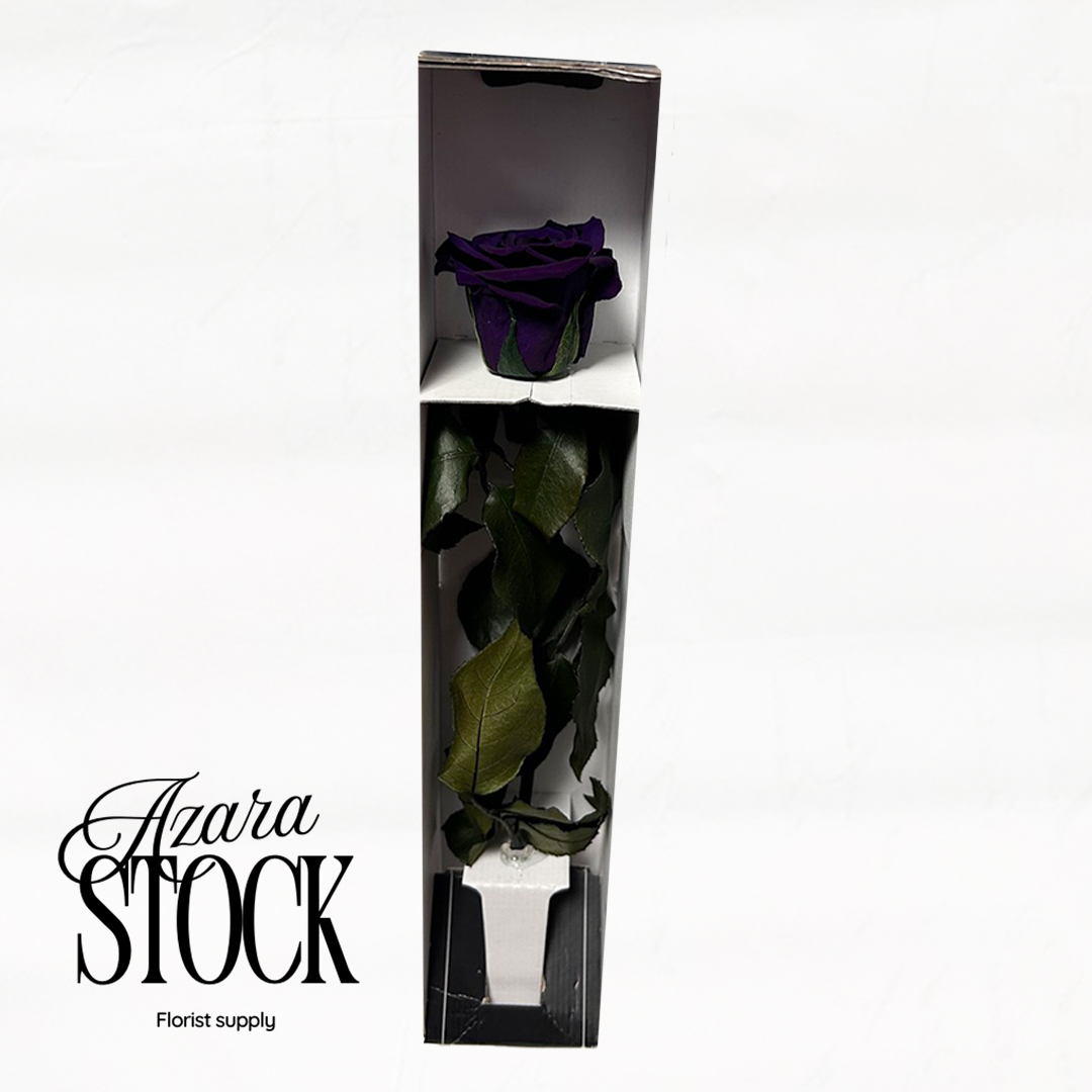Вечна роза тъмно лилаво с дръжка