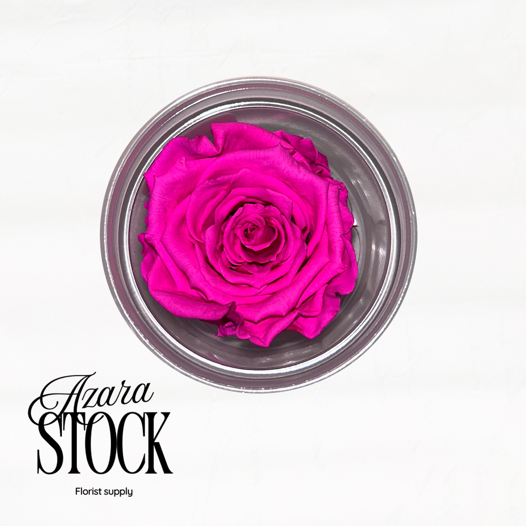 Вечна роза цикламено неон