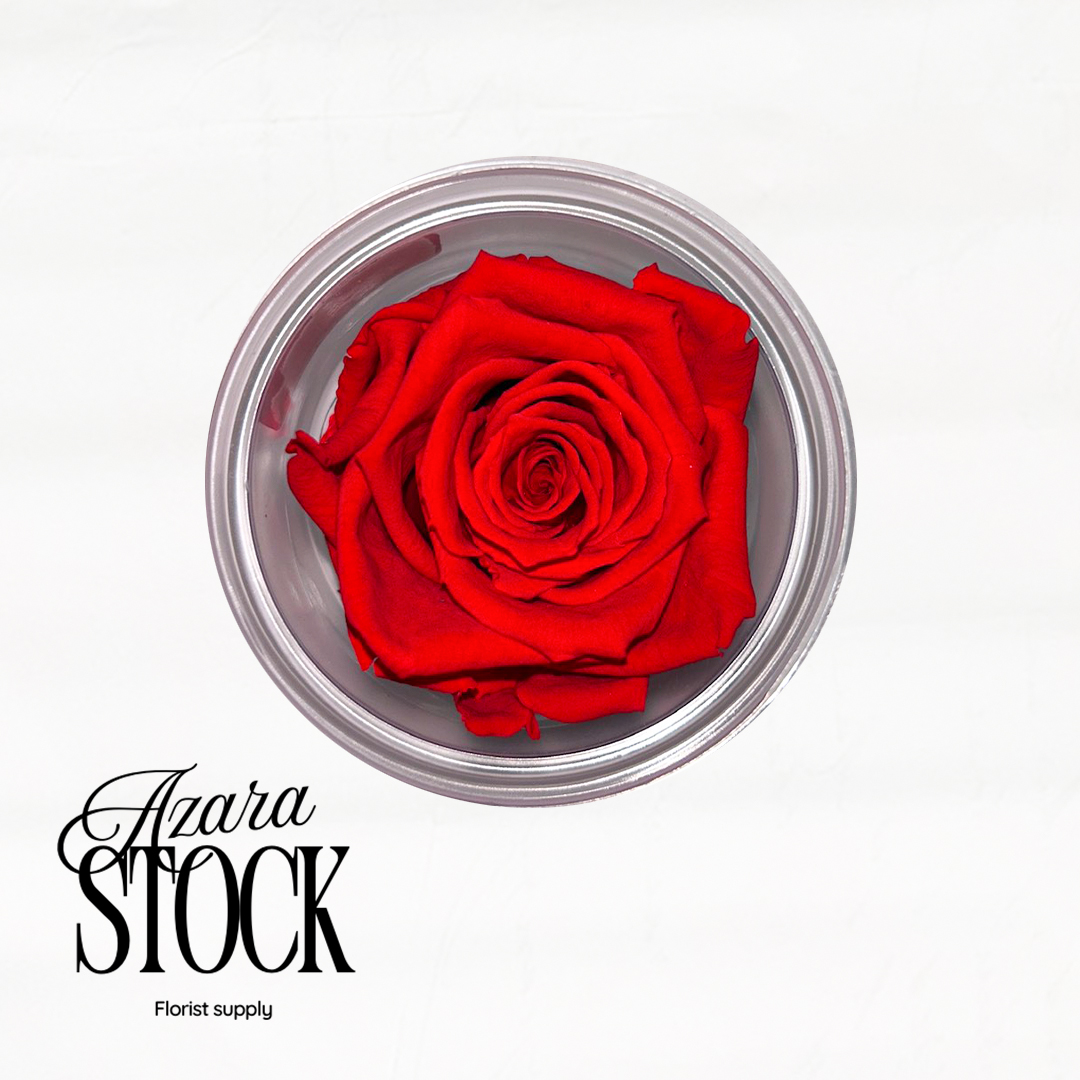 Вечна роза ярко червено